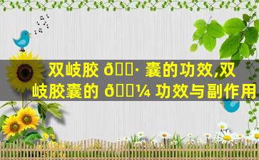 双岐胶 🌷 囊的功效,双岐胶囊的 🐼 功效与副作用